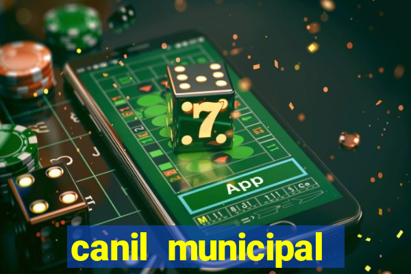 canil municipal porto alegre